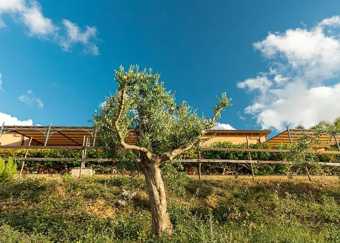 Solemar Sicilia - Casette Di Calzata